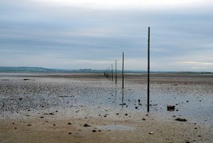 pilgrims way holy island
