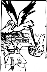 stork baby